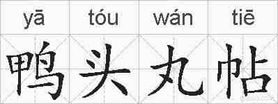 鸭头丸帖的拼音
