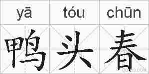 鸭头春的拼音