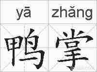 鸭掌的拼音