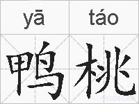 鸭桃的拼音