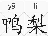 鸭梨的拼音