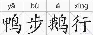 鸭步鹅行的拼音