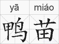 鸭苗的拼音