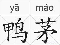 鸭茅的拼音