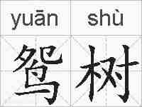 鸳树的拼音