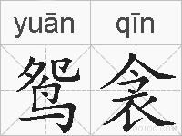鸳衾的拼音