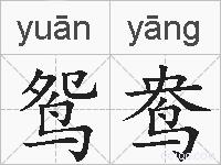 鸳鸯的拼音