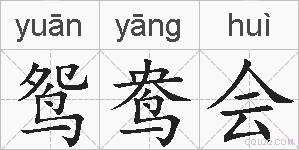 鸳鸯会的拼音