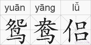 鸳鸯侣的拼音