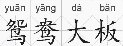 鸳鸯大板的拼音