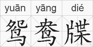 鸳鸯牒的拼音