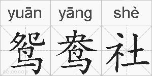 鸳鸯社的拼音
