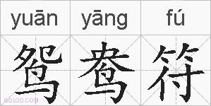 鸳鸯符的拼音
