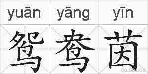 鸳鸯茵的拼音