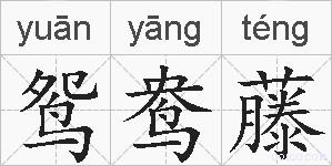鸳鸯藤的拼音