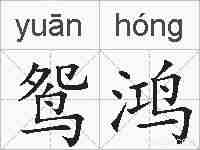 鸳鸿的拼音