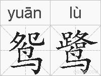鸳鹭的拼音