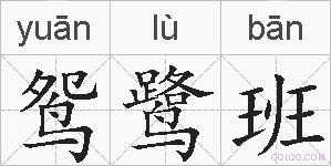 鸳鹭班的拼音