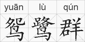 鸳鹭群的拼音