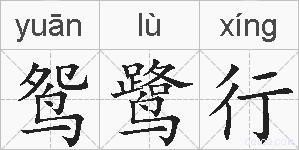 鸳鹭行的拼音