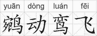 鹓动鸾飞的拼音
