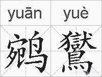 鹓鸑的拼音
