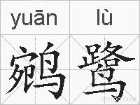 鹓鹭的拼音