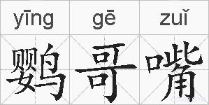 鹦哥嘴的拼音