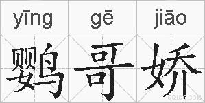 鹦哥娇的拼音