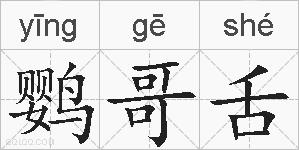 鹦哥舌的拼音