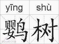鹦树的拼音