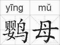 鹦母的拼音