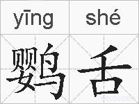 鹦舌的拼音