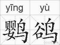 鹦鹆的拼音