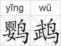 鹦鹉的拼音