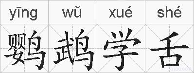 鹦鹉学舌的拼音