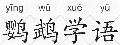 鹦鹉学语的拼音