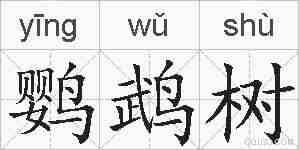 鹦鹉树的拼音