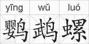 鹦鹉螺的拼音