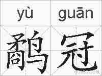 鹬冠的拼音