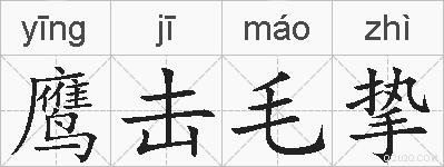 鹰击毛挚的拼音