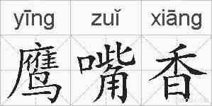 鹰嘴香的拼音