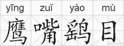 鹰嘴鹞目的拼音