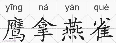 鹰拿燕雀的拼音