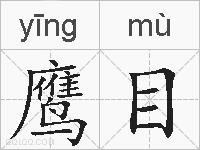 鹰目的拼音