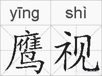 鹰视的拼音