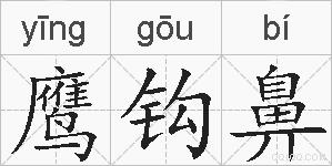 鹰钩鼻的拼音