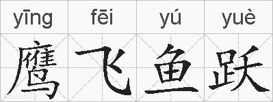 鹰飞鱼跃的拼音