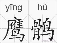 鹰鹘的拼音