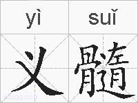 义髓的拼音